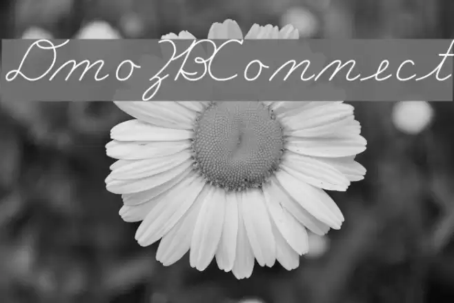 DmoZBConnect Schriftart examples