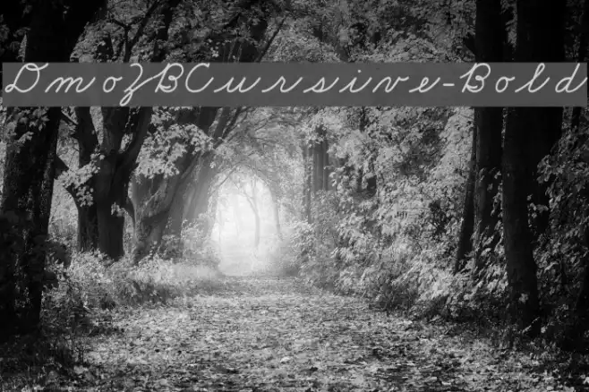 DmoZBCursive-Bold Example 2