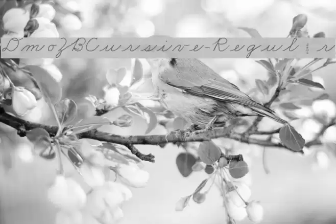 DmoZBCursive-Regular Font examples