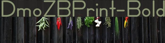 DmoZBPrint-Bold Font examples