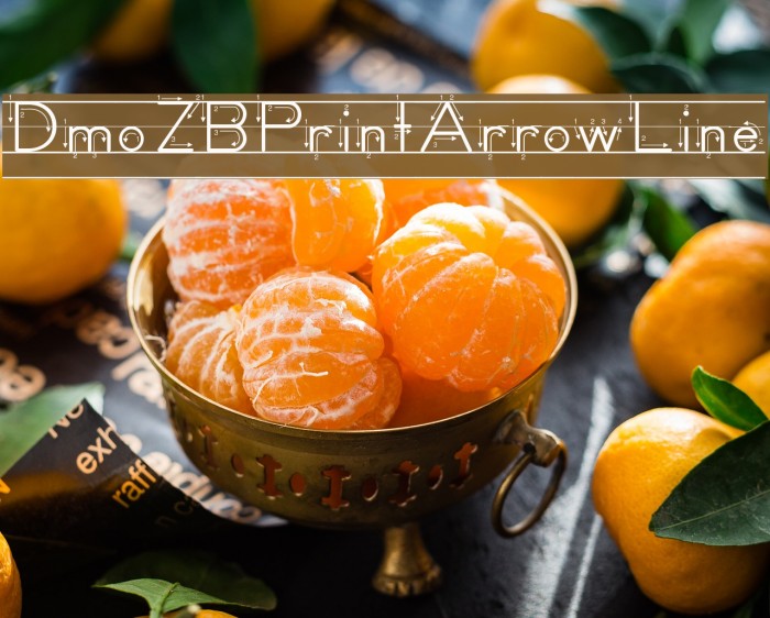 DmoZBPrintArrowLine Font examples
