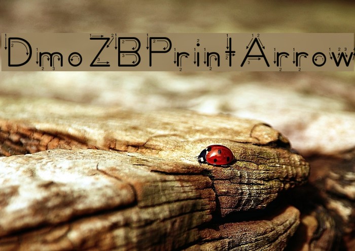 DmoZBPrintArrow Font examples