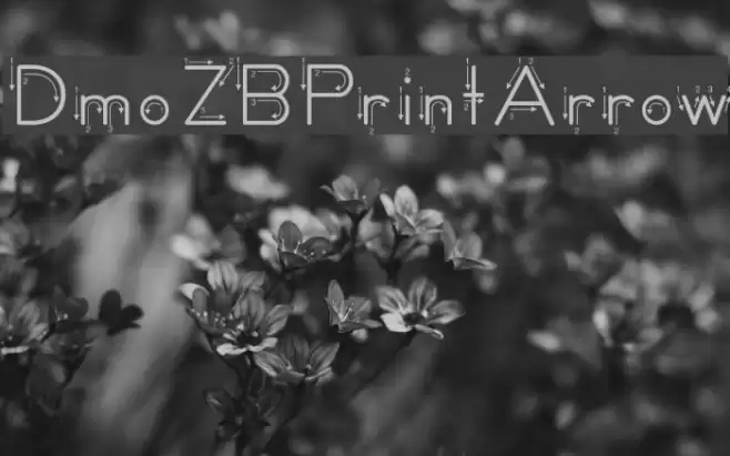 DmoZBPrintArrow Font examples