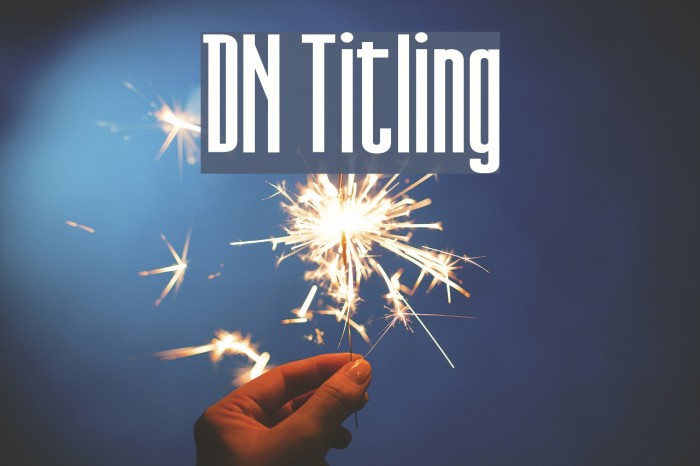 DN Titling Font examples