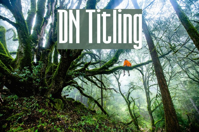 DN Titling Font examples
