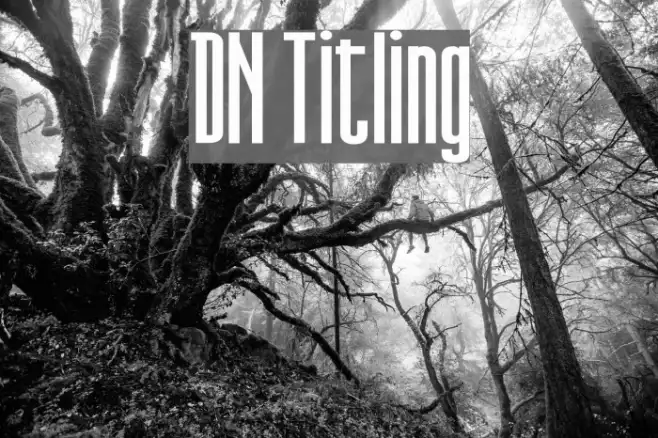DN Titling Example 2