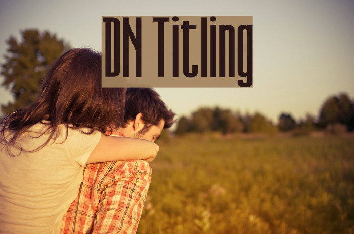 DN Titling Font examples