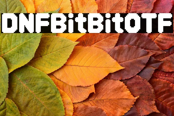 DNF Bit Bit OTF Example 1