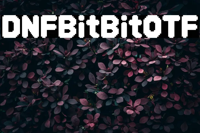 DNF Bit Bit OTF Example 2