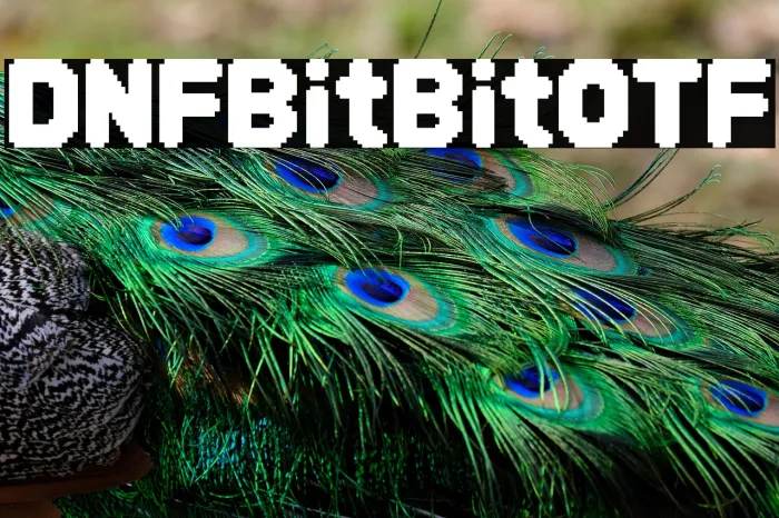 DNF Bit Bit OTF Example 3