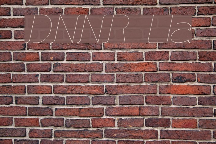 DNNR LightItalic Font examples