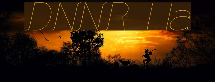 DNNR LightItalic Font examples