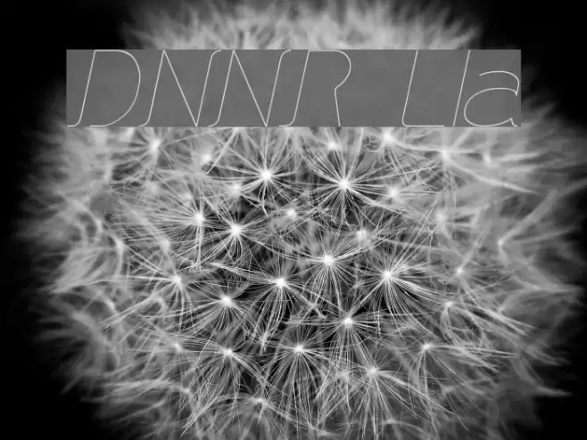 DNNR LightItalic Font examples