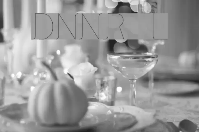 DNNR   Light Font examples