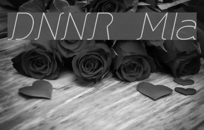 DNNR  MediumItalic Example 1
