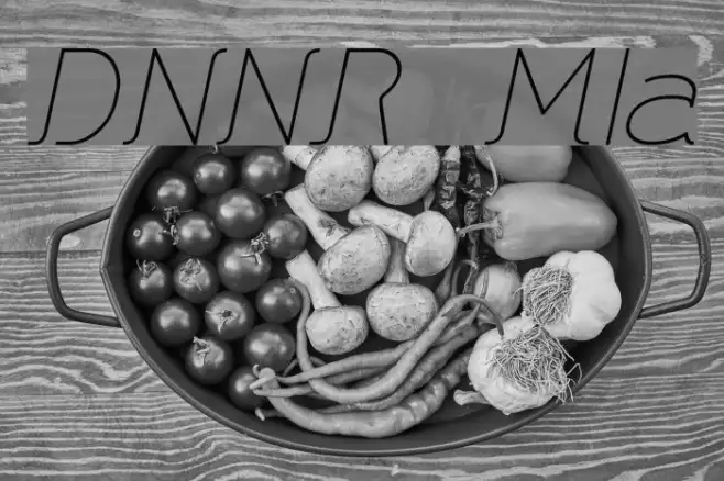DNNR  MediumItalic Example 3