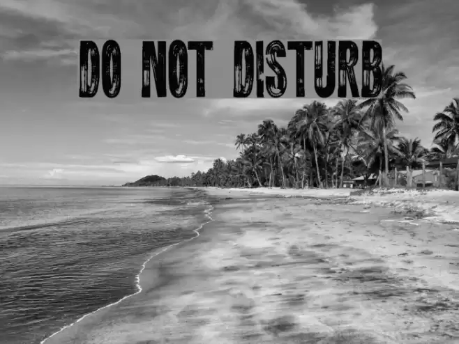 DO NOT DISTURB Font examples