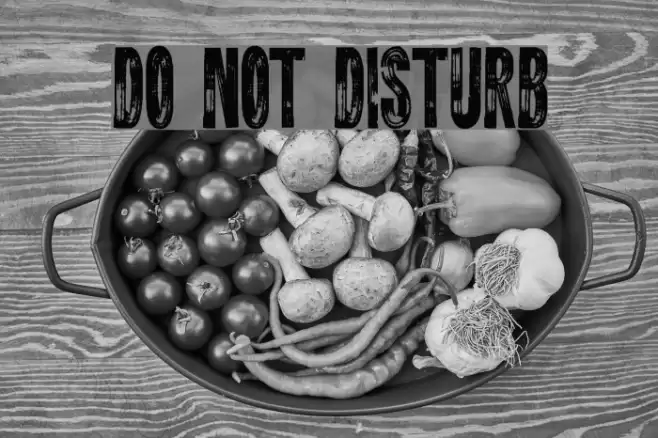 DO NOT DISTURB Font examples