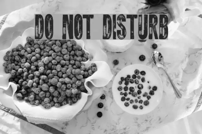 DO NOT DISTURB Font examples