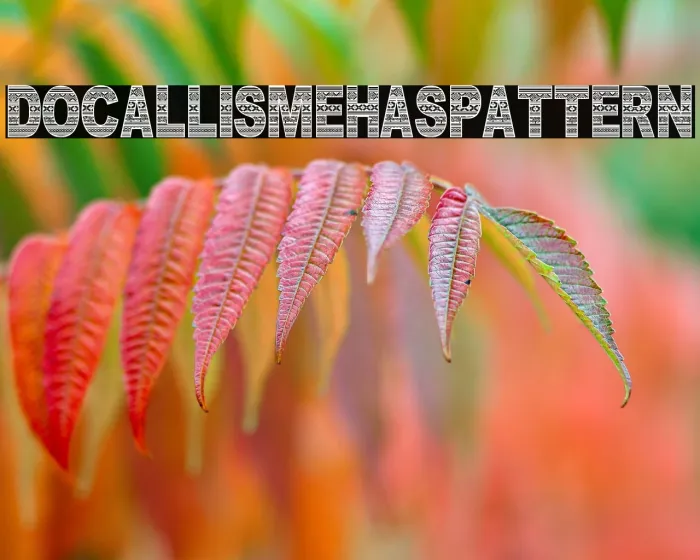 DOCALLISME HAS PATTERN Example 2