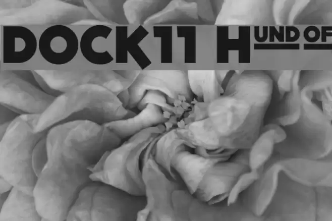 DOCK11 Heavy Font examples