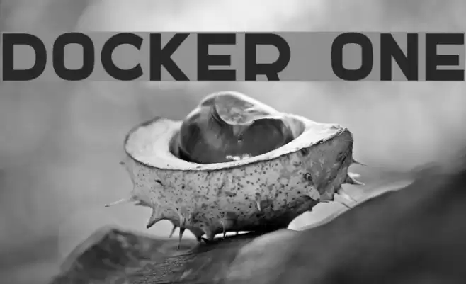 DOCKER ONE Font examples
