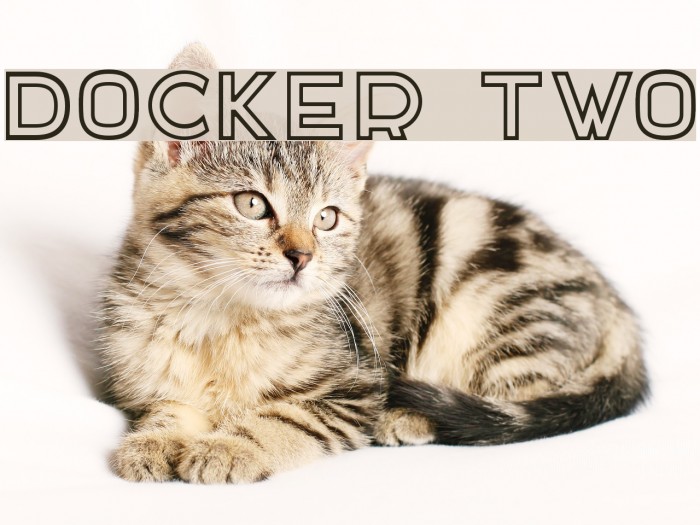 DOCKER TWO Font examples