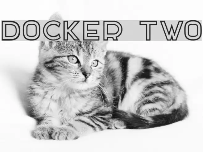 DOCKER TWO Example 1