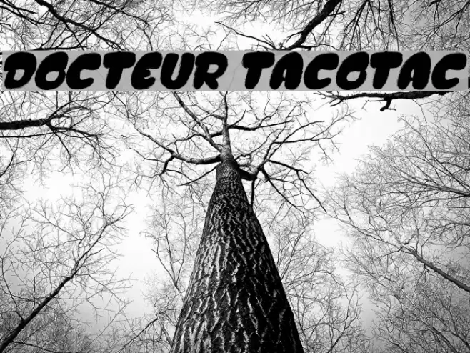 DOCTEUR TACOTAC Font examples