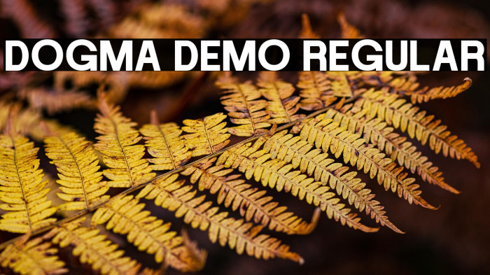 DOGMA DEMO Regular Example 1