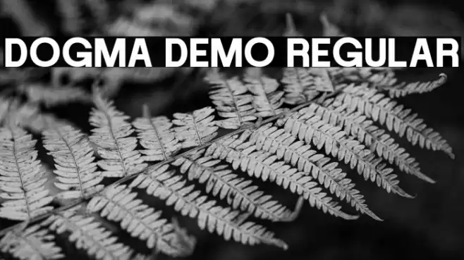 DOGMA DEMO Regular Font examples