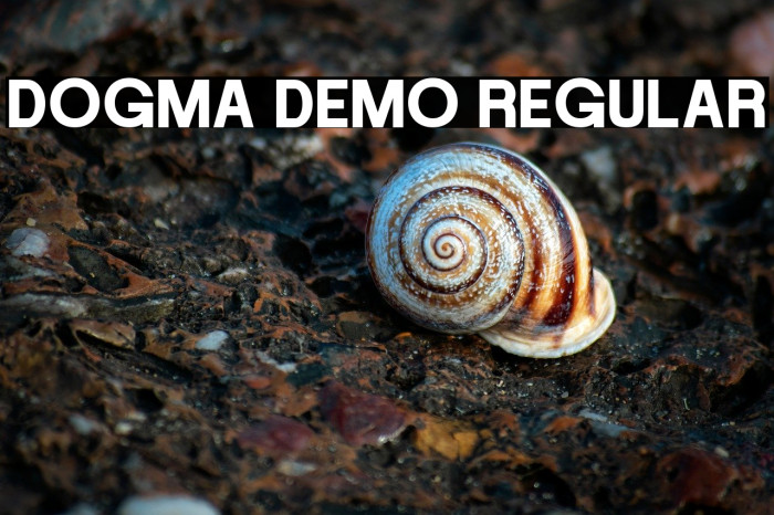DOGMA DEMO Regular Example 3