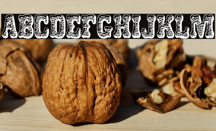 DOGSNACKS PERSONAL USE Bold Example 1