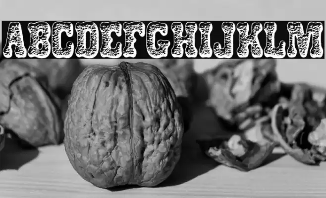 DOGSNACKS PERSONAL USE Bold Font examples