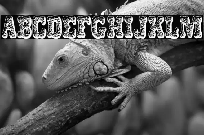 DOGSNACKS PERSONAL USE Bold Font examples