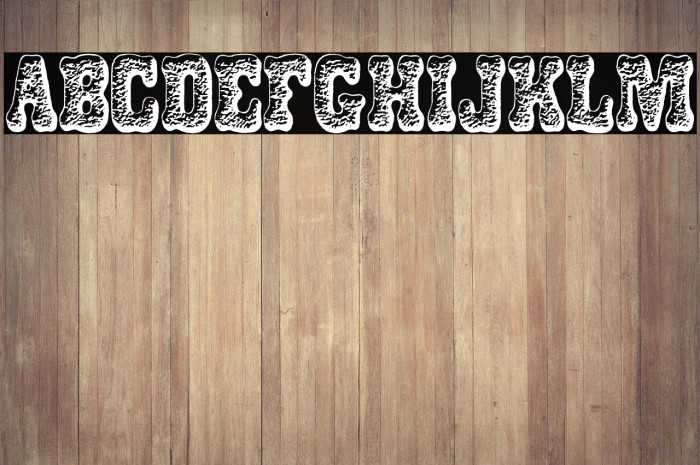 DOGSNACKS PERSONAL USE Bold Example 3