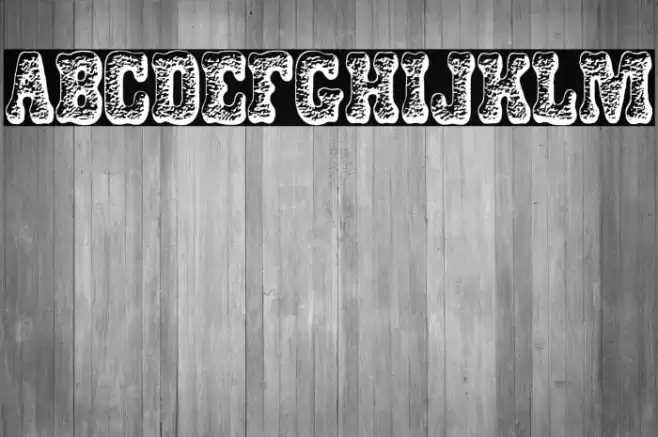 DOGSNACKS PERSONAL USE Bold Font examples