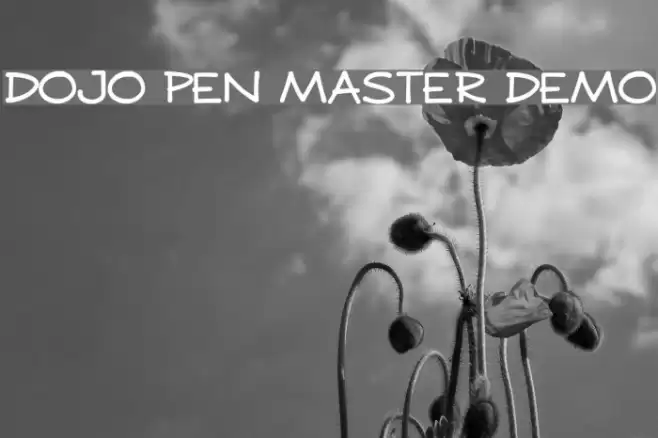 DOJO PEN MASTER DEMO Font examples