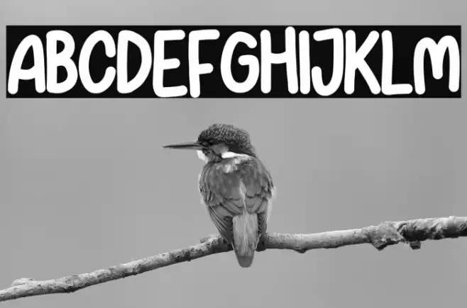 DOLBY ALMOST DEMO Font examples