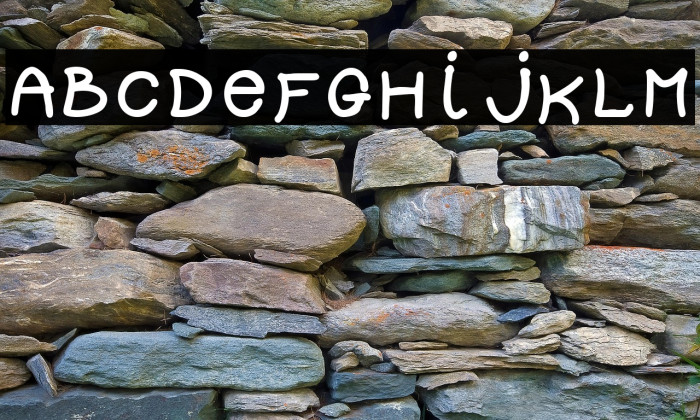 DOLLY-Regular Example 2