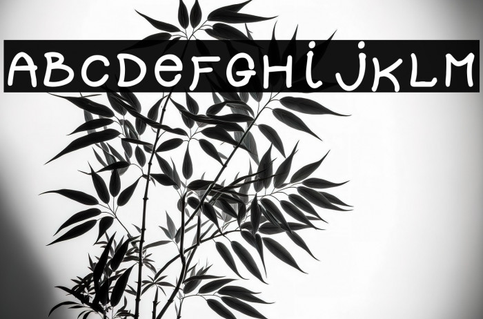 DOLLY-Regular Example 3