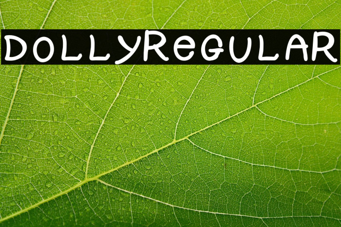 DOLLY-Regular Example 1