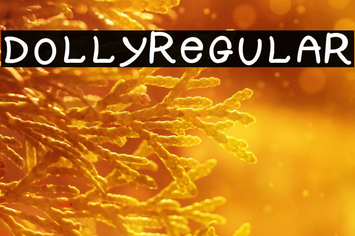 DOLLY-Regular Example 2