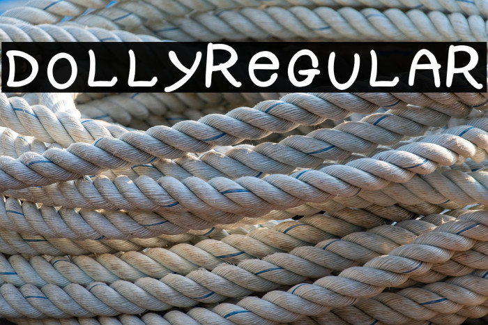 DOLLY-Regular Example 3