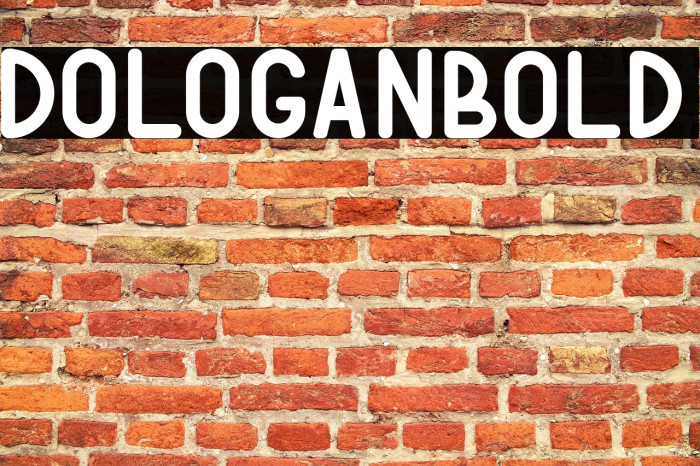 DOLOGANbold Example 1