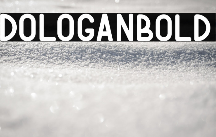 DOLOGANbold Example 2