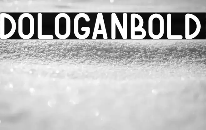 DOLOGANbold Example 2