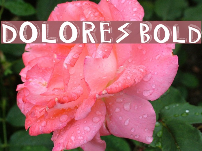 DOLORES Bold Font examples