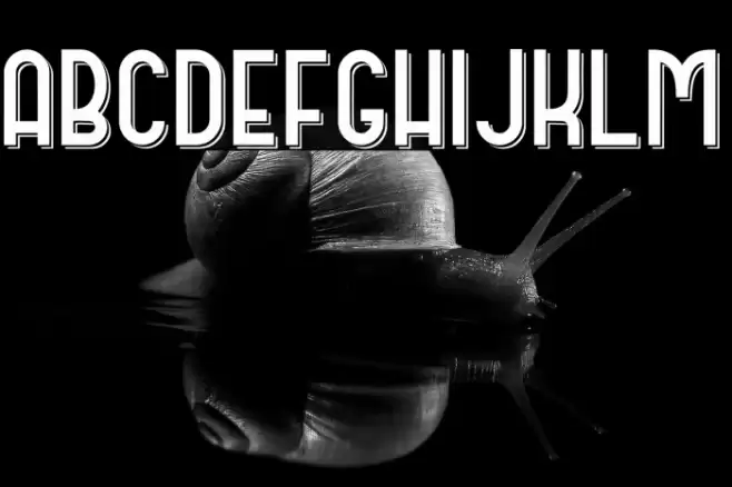 DOMCO 02 Font examples