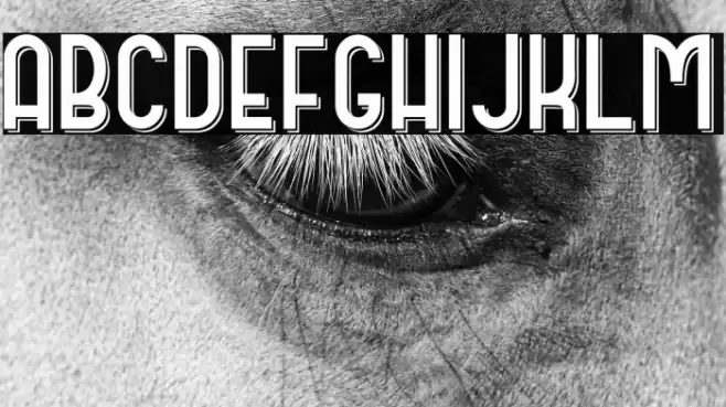 DOMCO 02 Font examples